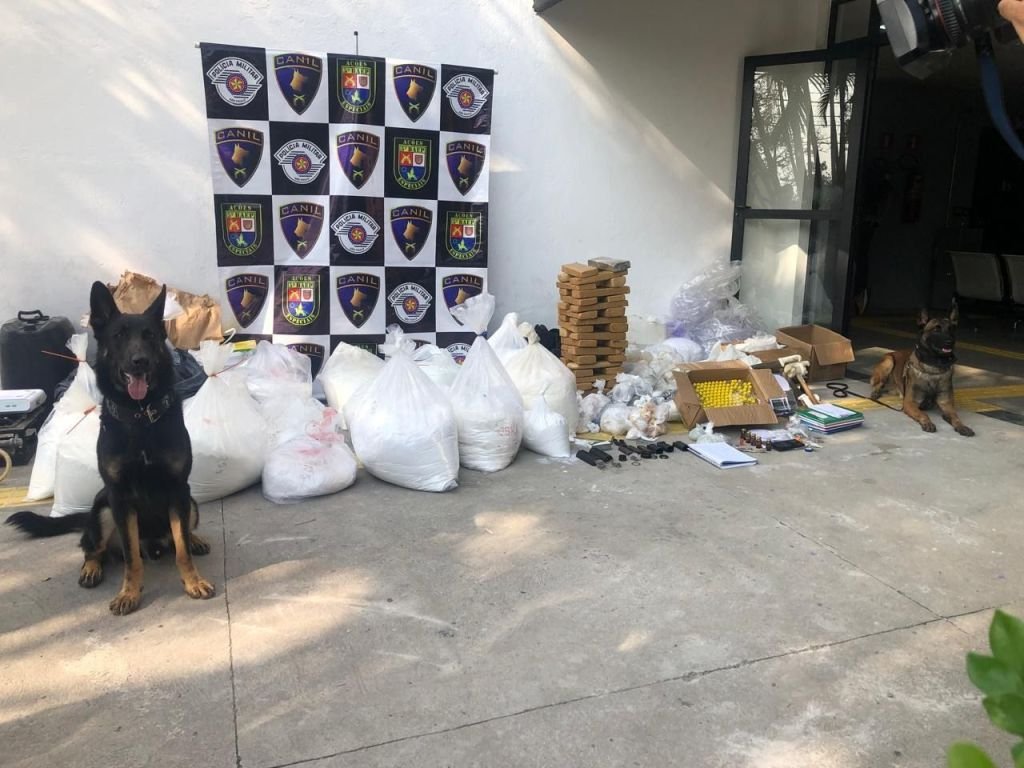 Cão policial encontra mais de 400 kg de drogas em Paraisópolis (SP)