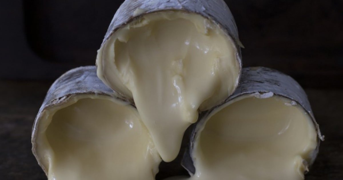 Melhor queijo do mundo? Conheça o queijo brasileiro que venceu competição global